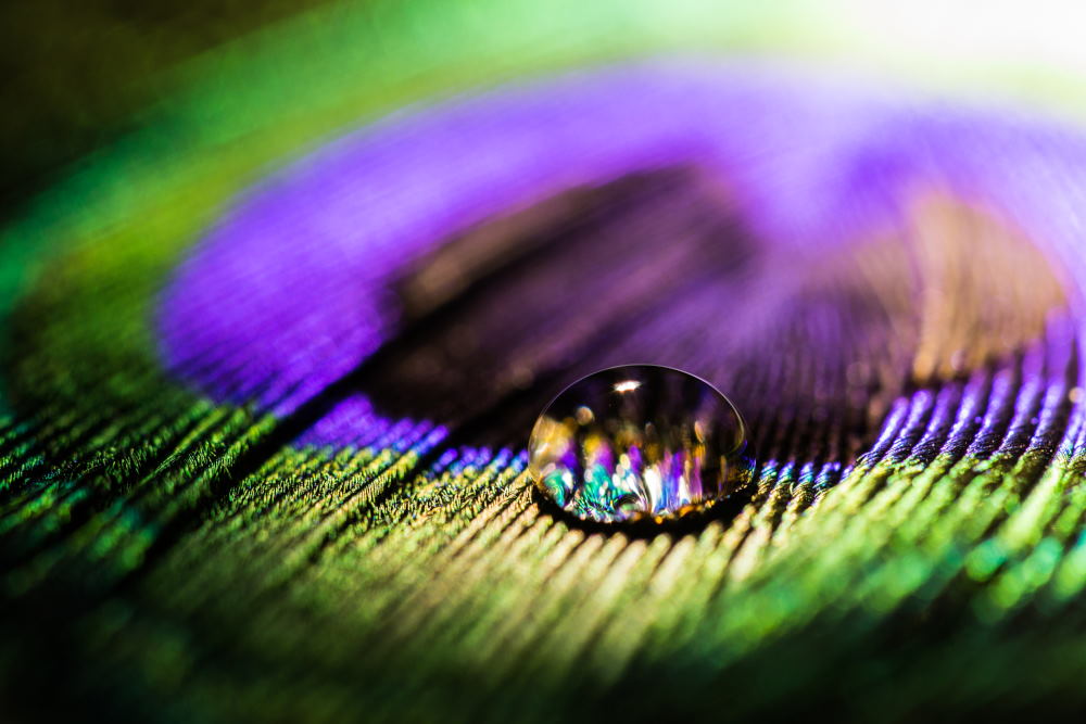 6. Platz Christoph Frank